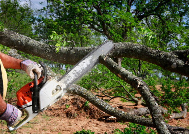 Best Lot and Land Clearing  in Blawnox, PA